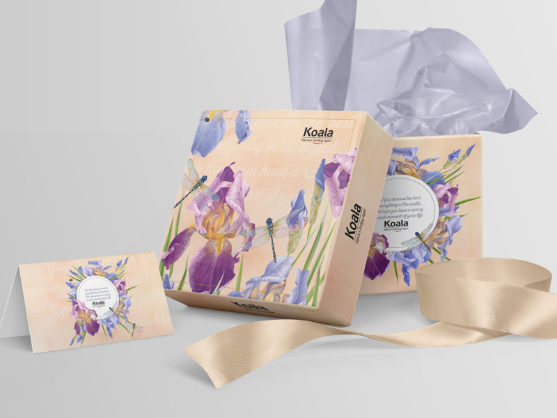 Koala Gift Pack